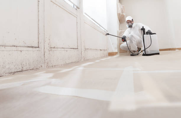 24/7 Emergency Mold Inspection experts in Lexington, VA